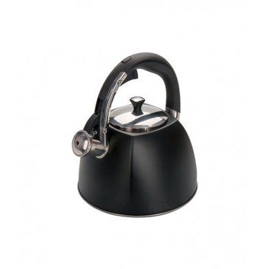 Чайник со свистком нержавеющая сталь Regent inox (Италия), 3 литра, нержавеющая сталь - 1